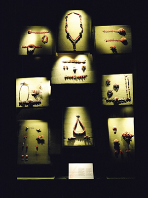 fasa_im05